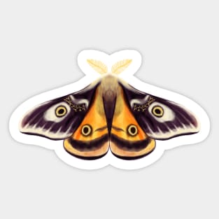 Moth Insect Art Goblincore Sticker